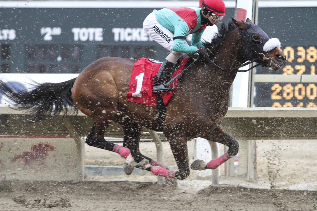 Unrivaled and Frankie Pennington cruised home to win March 15 in their first race in Team Valor colors. Photo courtesy of Marya Montoya.