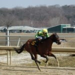 Two champs among 56 nominated to Charles Town Classic