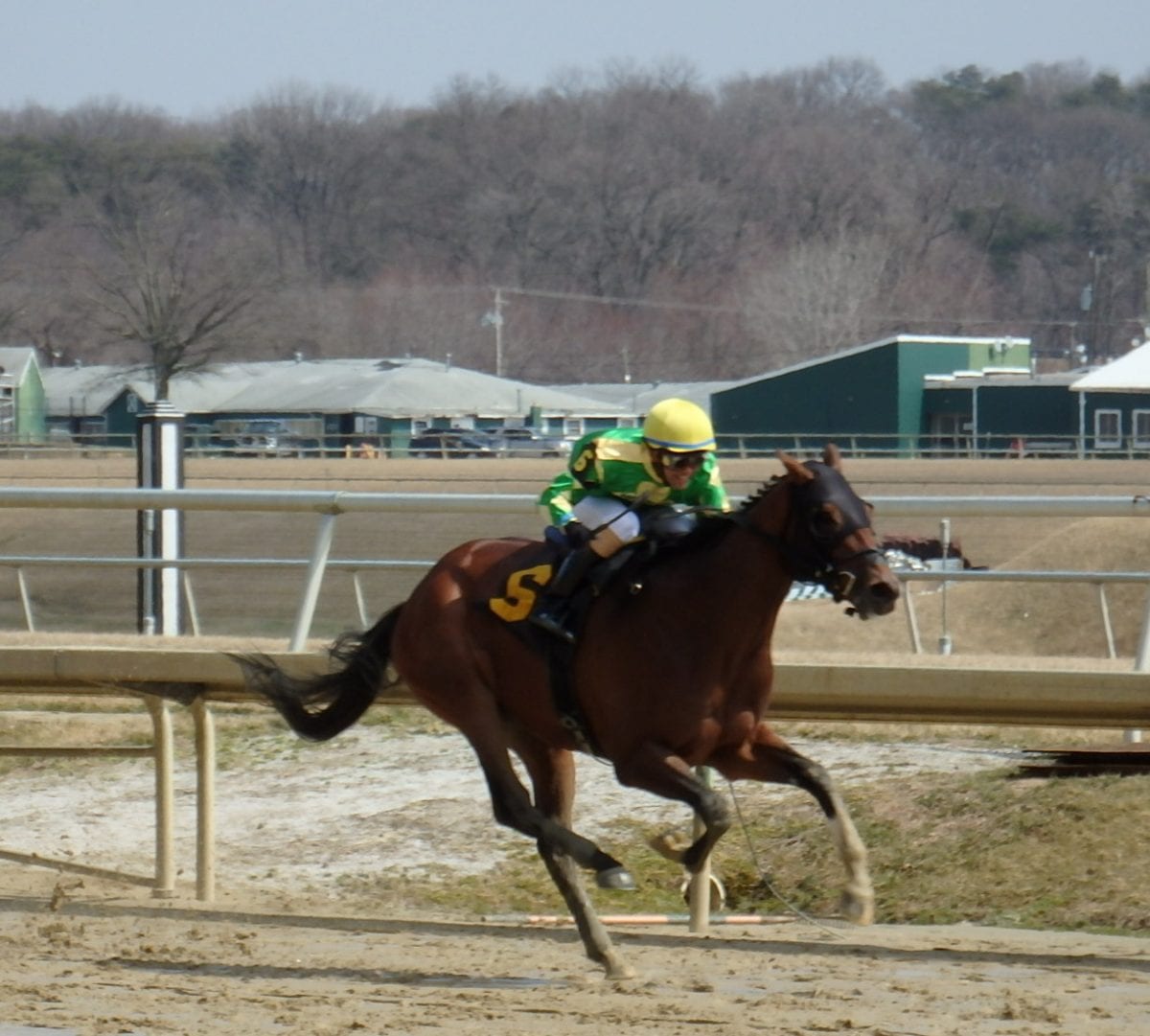 Stellar Wind leads first Top Midlantic-bred Poll of 2015