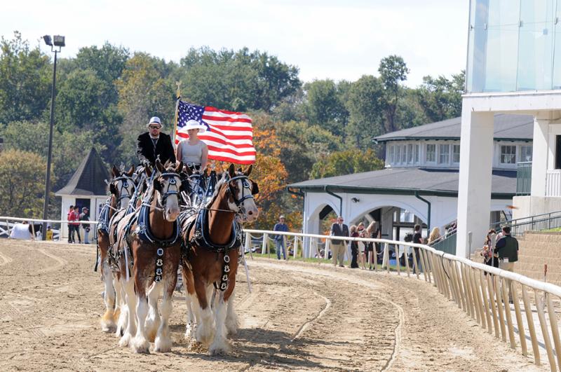 Maryland Million tabs official Clydesdales