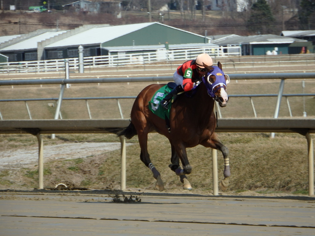 Eddy Gourmet and Sheldon Russell cruised to victory in the Conniver for Maryland-bred fillies and mares today. Photo by The Racing Biz.