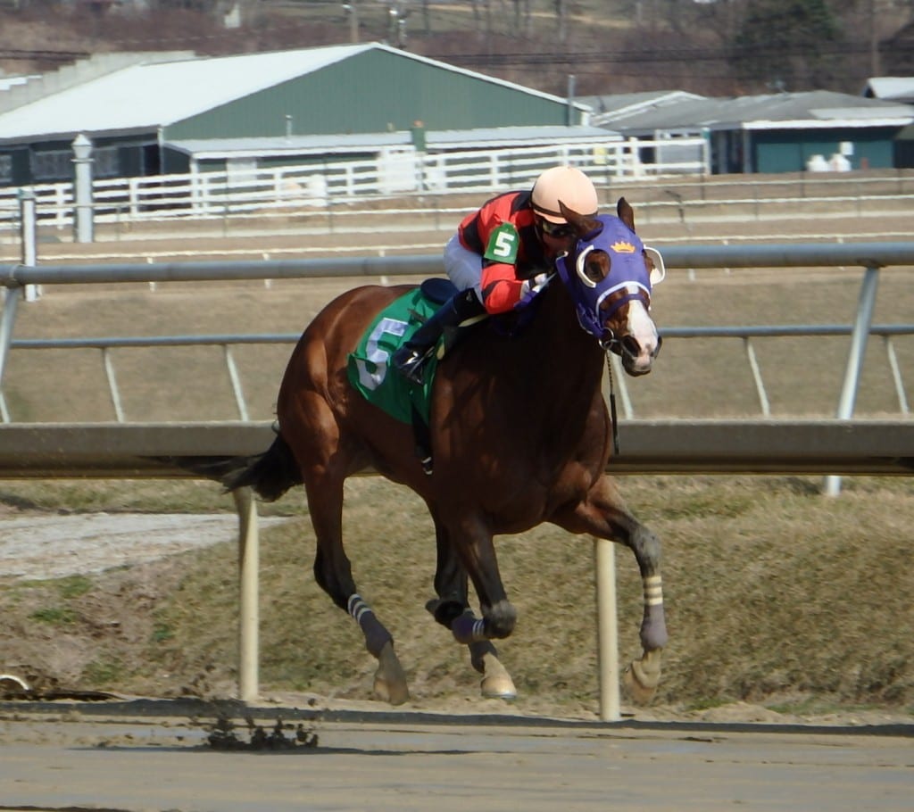 Eddy Gourmet and Sheldon Russell cruised to victory in the Conniver for Maryland-bred fillies and mares today. Photo by The Racing Biz.