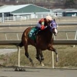 Laurel Park unveils winter stakes schedule