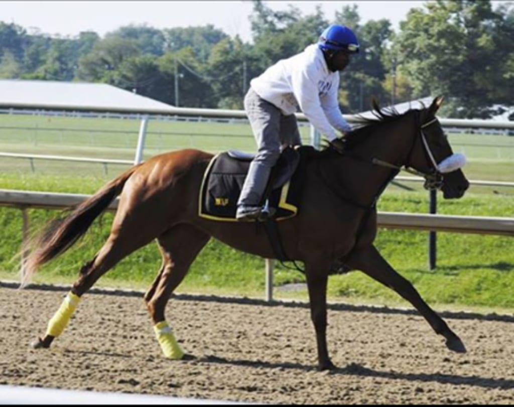 Jeyran. Photo courtesy of the Maryland Jockey Club.