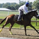 Breeders’ Cup tix on sale today