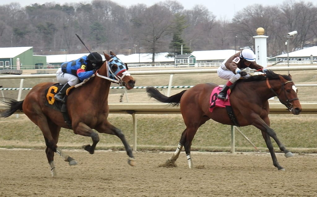 Noteworthy Peach ran down Top of Mind to win the seventh, paying $81 to win. Photo by The Racing Biz.