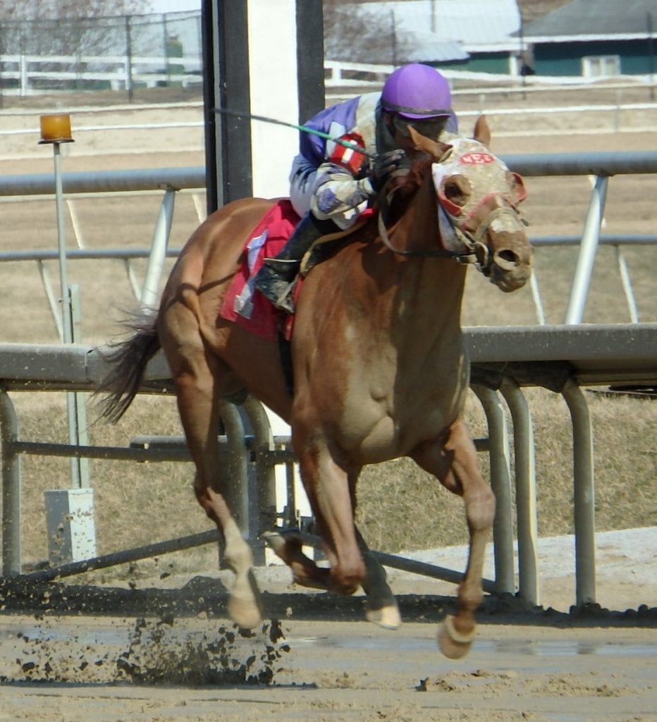 The very good Page McKenney romped in today's Harrison Johnson. Photo by The Racing Biz.