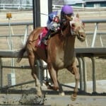 Laurel Park Thanksgiving gallery