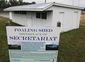 Famous foaling shed. Photo courtesy of The Meadow.