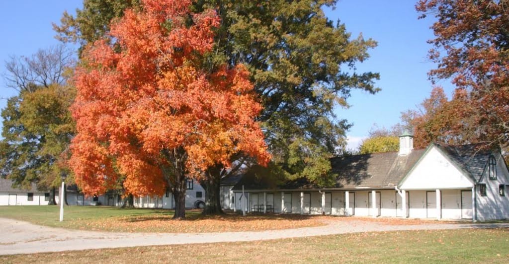 Barns at The Meadow. Photo courtesy of The Meadow.