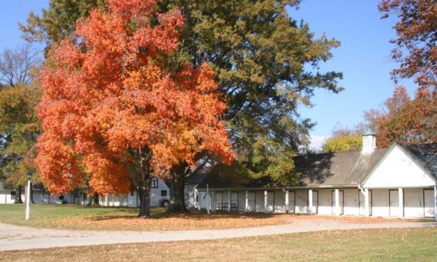 Meadow Stable memorabilia to be exhibited