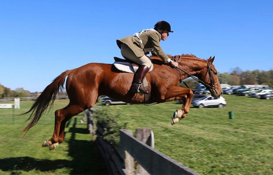 Shawan steeplechase sale aims to stimulate market