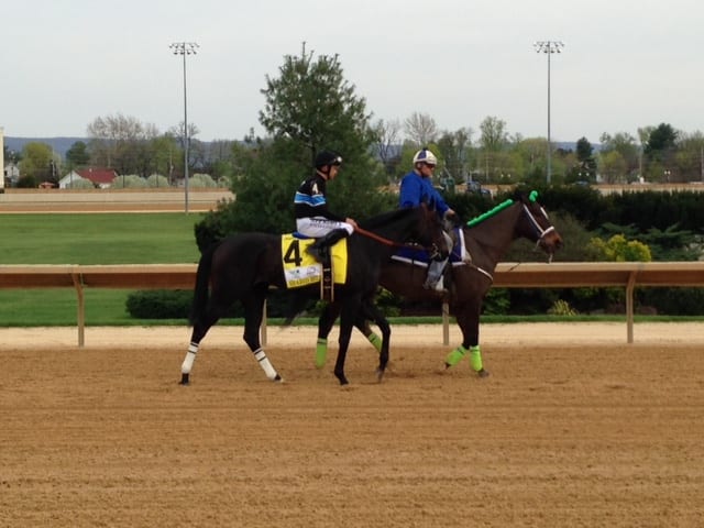 A hip fracture for Shared Belief