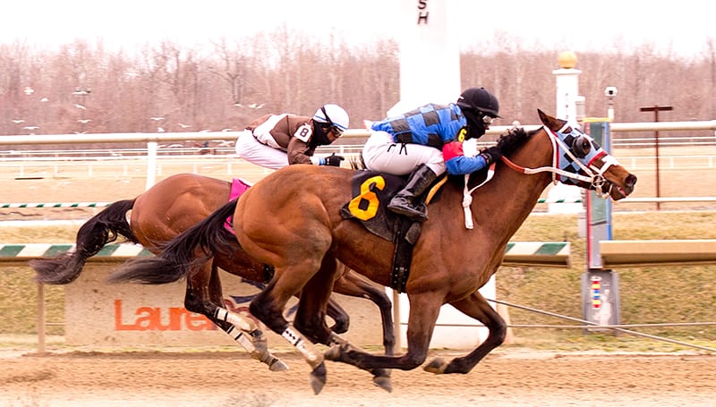 Noteworthy Peach upset Top of Mind in a Laurel Park allowance, looks to reprise that effort in Saturday's Federico Tesio. Photo by Jim McCue, Maryland Jockey Club.