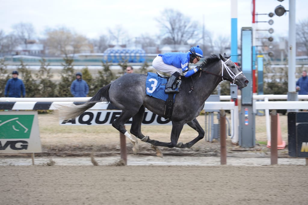 All Hands was an easy maiden winner. Photo courtesy of the Maryland Jockey Club.