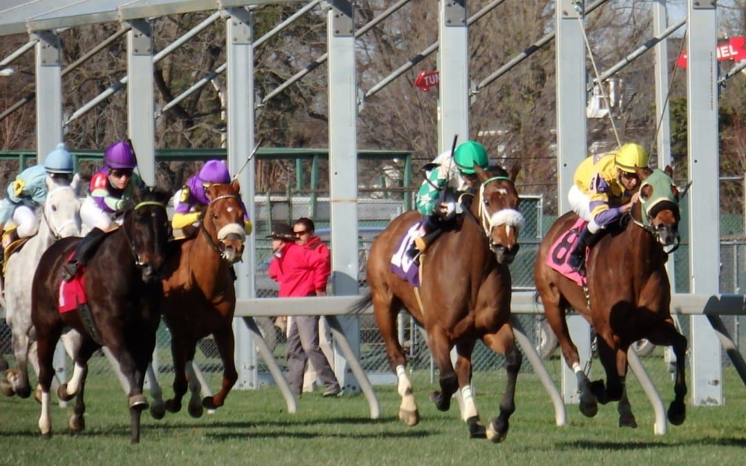 What HISA says about whip rules