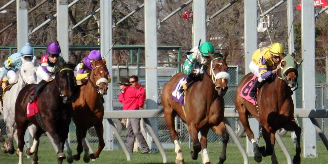 Turf’s up at Pimlico