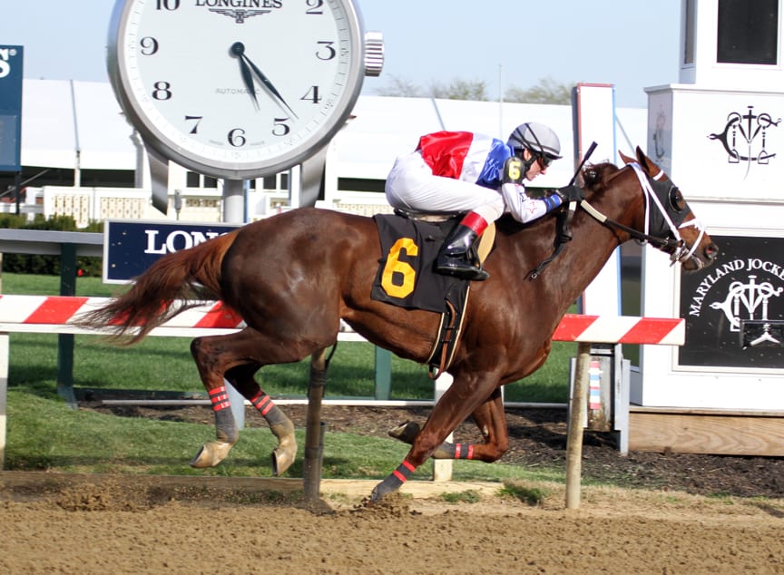 Next stop for Bodhisattva may be Preakness