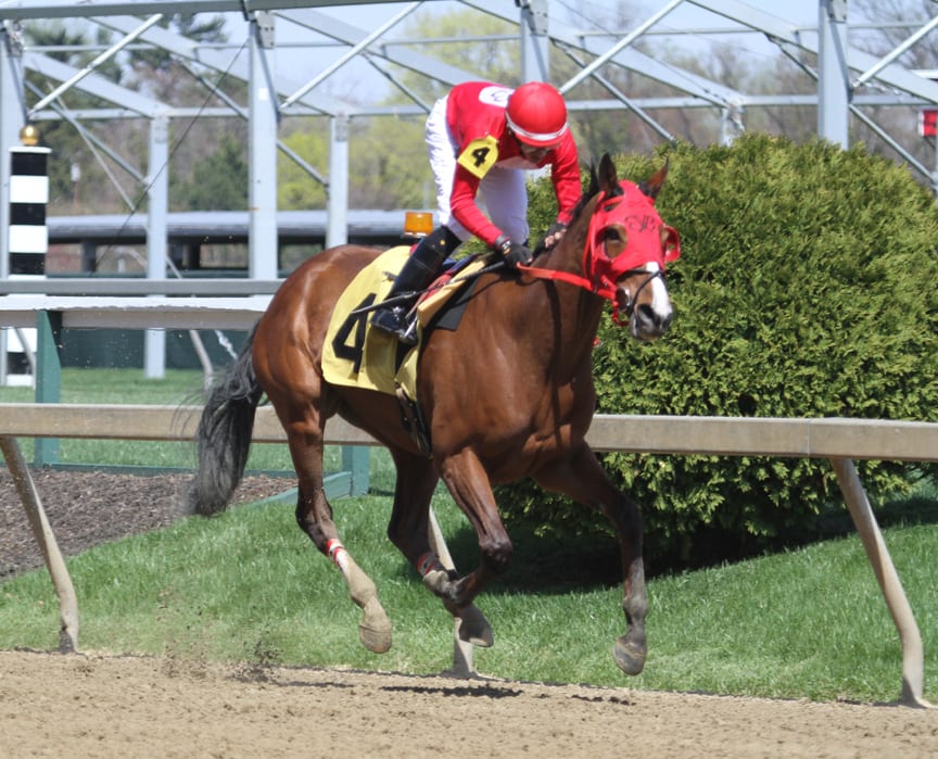 Brenda's Way was a dominant winner of the Geisha. Photo by Laurie Asseo.