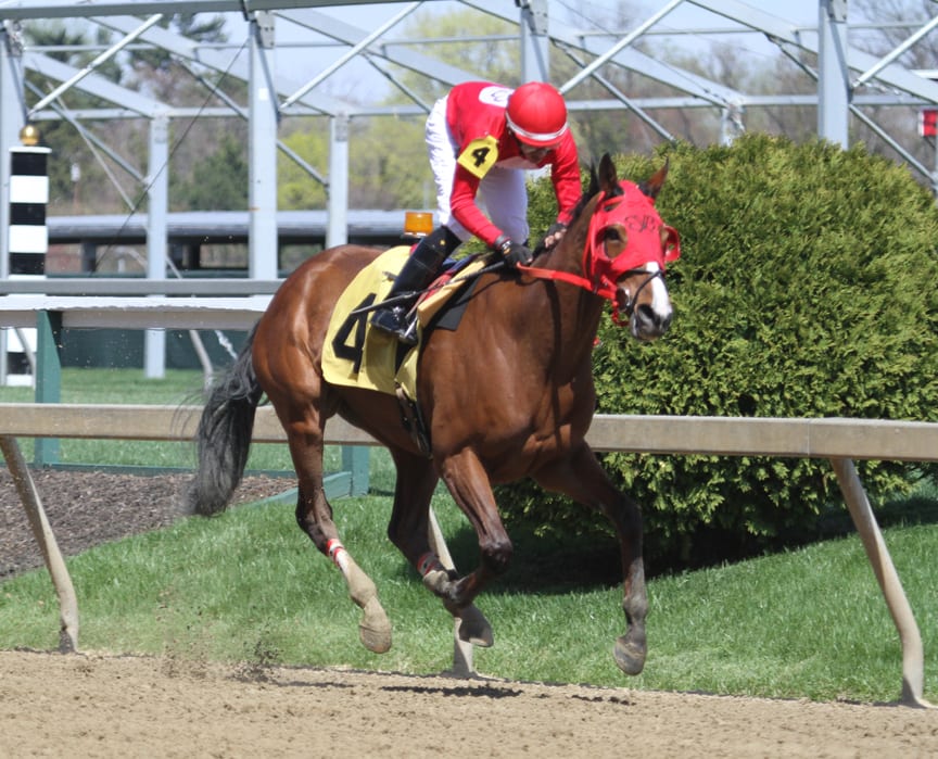 Local runner Brenda’s Way tackles graded foes in DuPont