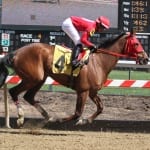 Preakness post positions drawn