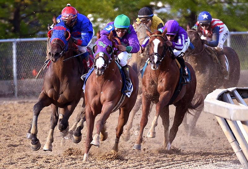 Jonathan Newton wins Frutkoff Preakness Photo Award