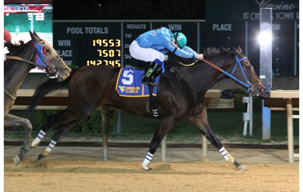 Star WV-bred Down Town Allen euthanized