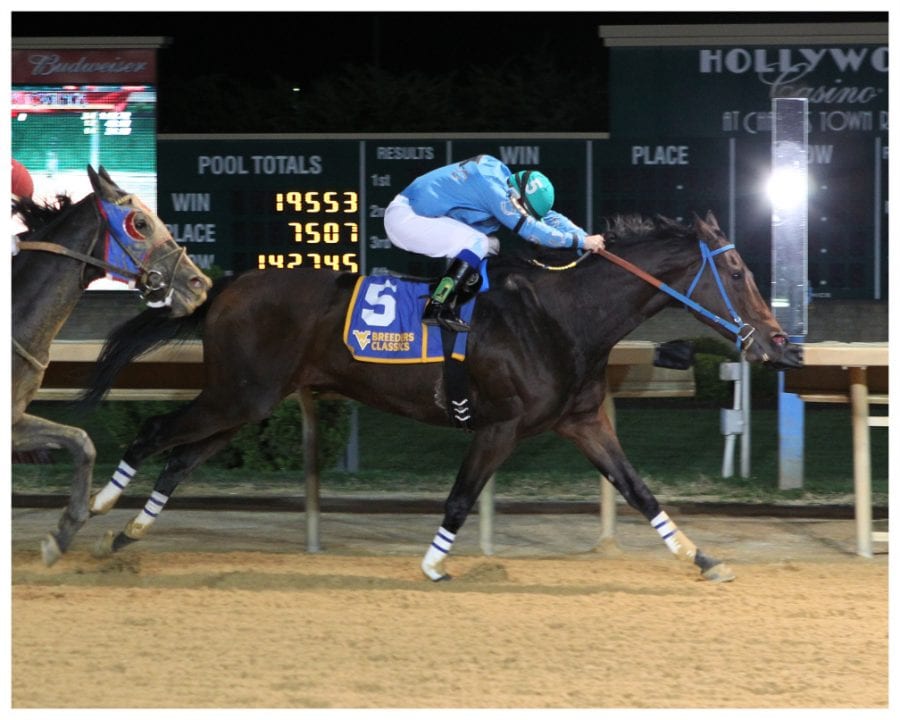 Down Town Allen, here winning last fall's West Virginia Jefferson Security Bank Cavada Breeders' Classic Stakes, was euthanized Monday as a result of injuries suffered April 18. Photo by Coady Photography.