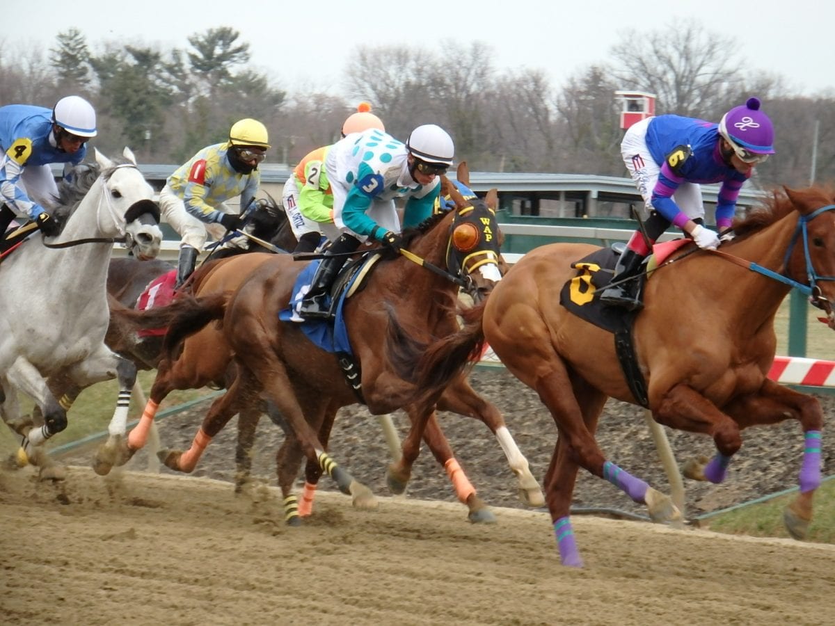 Coalition to endorse federal equine drug testing bill