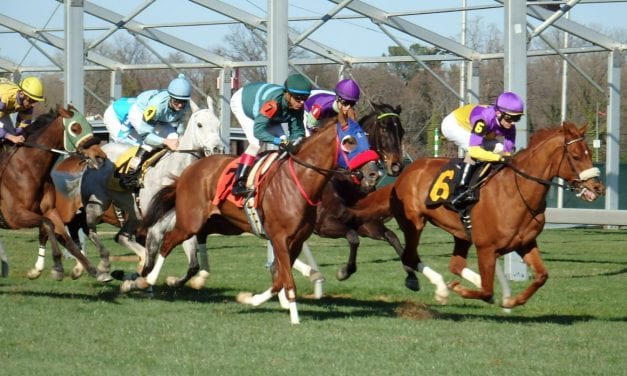 Wagering guide to Maryland Pride day stakes released