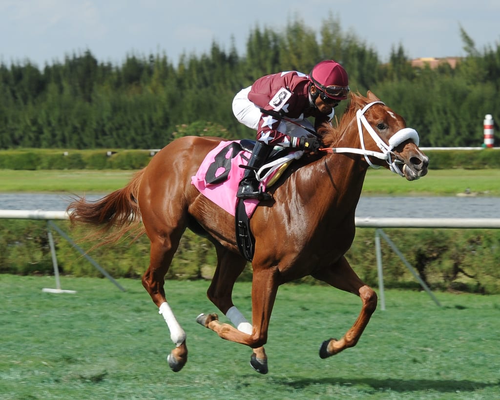 Lady Shipman should be a tough customer in the Stormy Blues at PImlico. Photo by Leslie Martin.