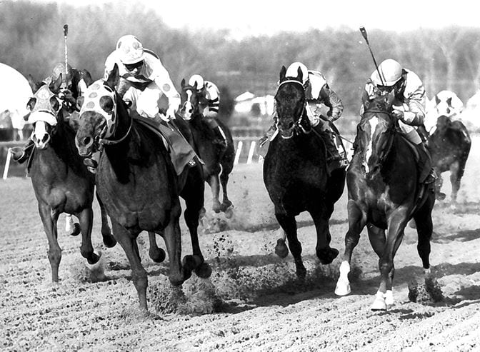 "Blue collar millionaire" Little Bold John earned more than $2.6 million. Photo courtesy of Maryland Thoroughbred Hall of Fame.