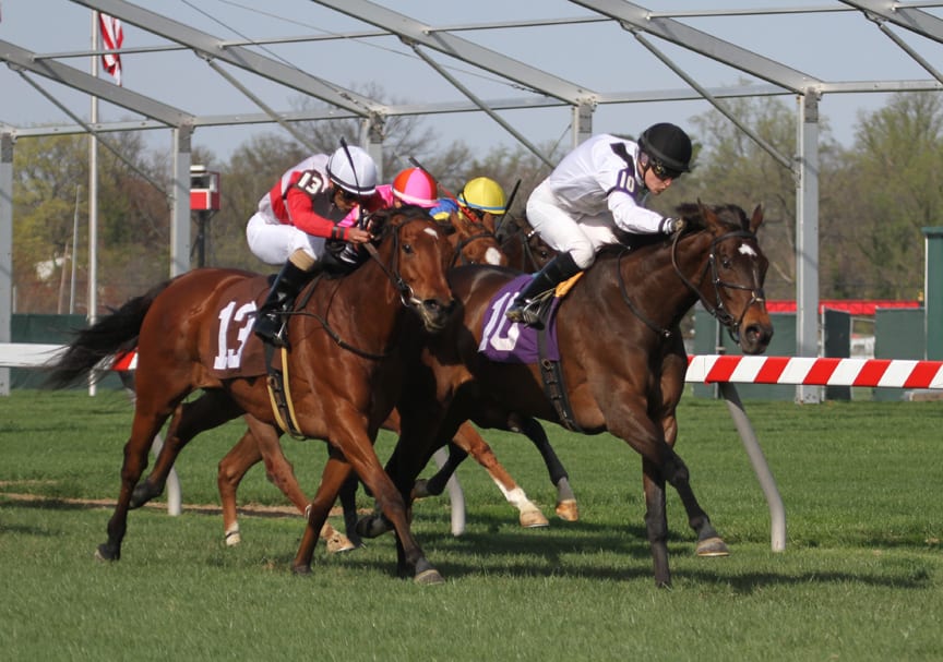 Nellie Cashman upsets Dahlia Stakes