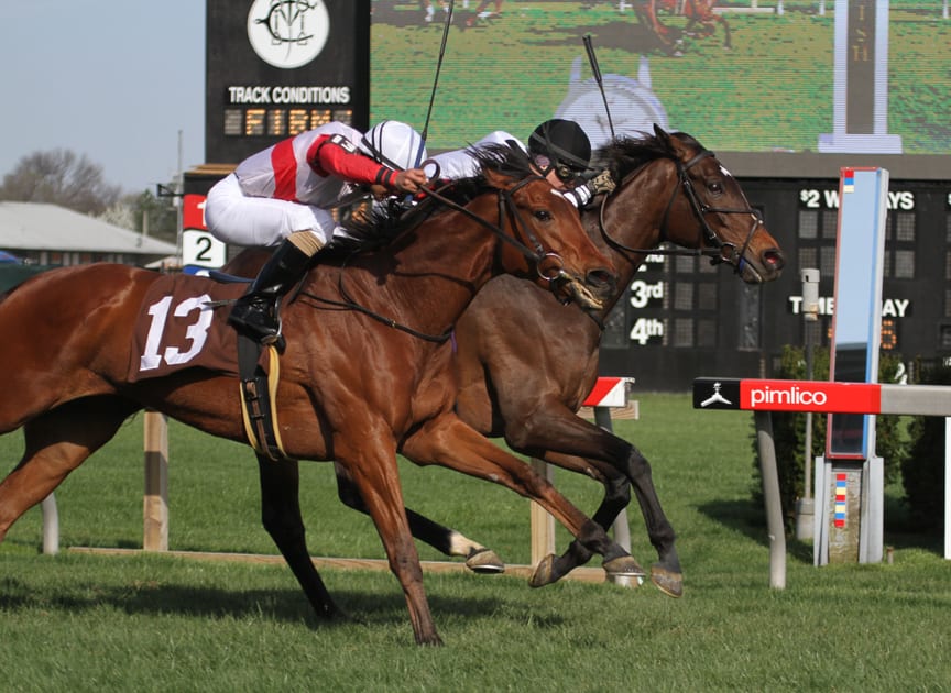 Nellie Cashman (inside) holds off Run of the River to win the Dahlia. Photo by Laurie Asseo.