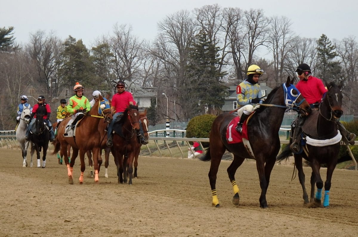 Pimlico post parade