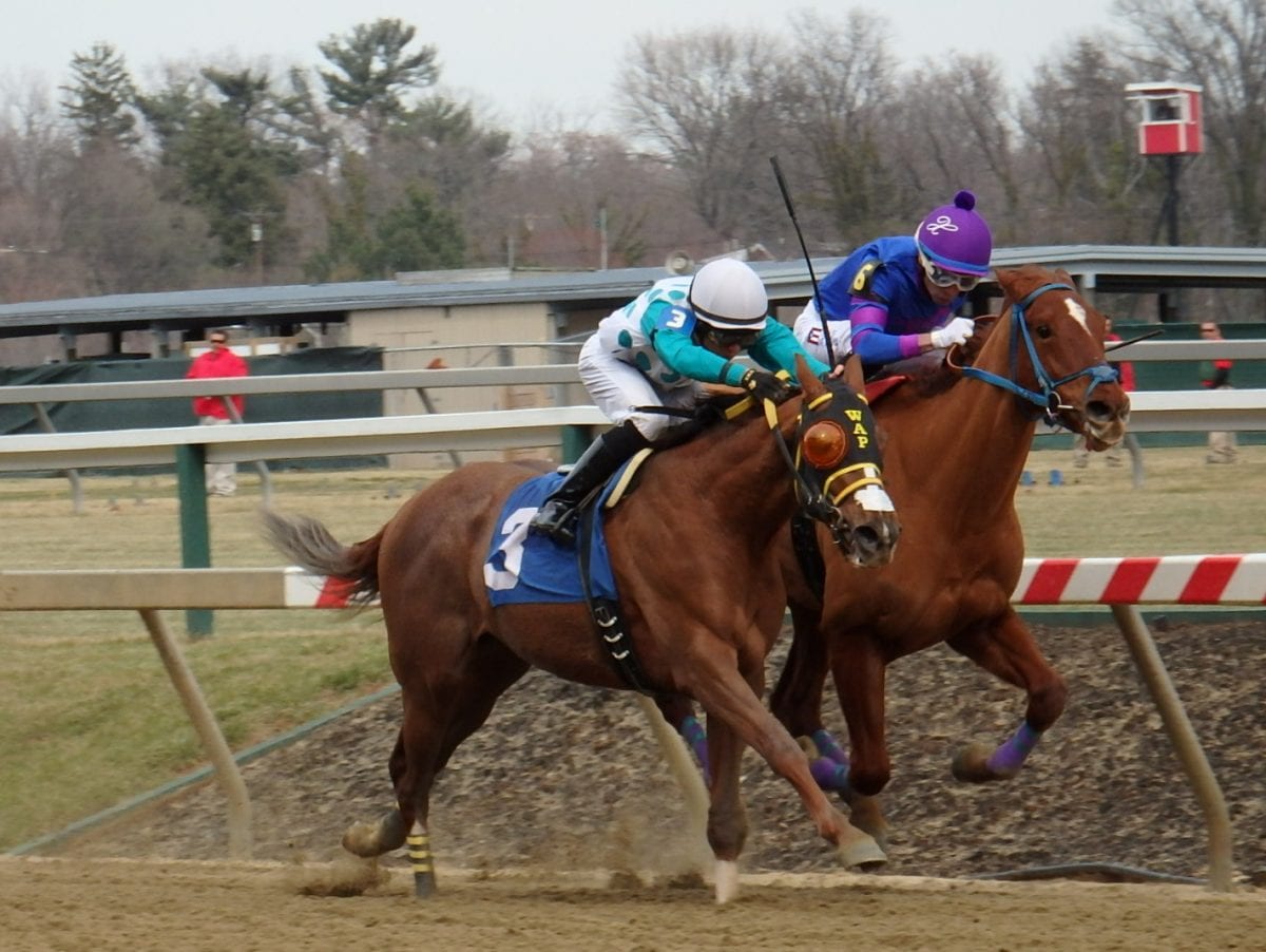 Three carryovers highlight Laurel Park Friday card