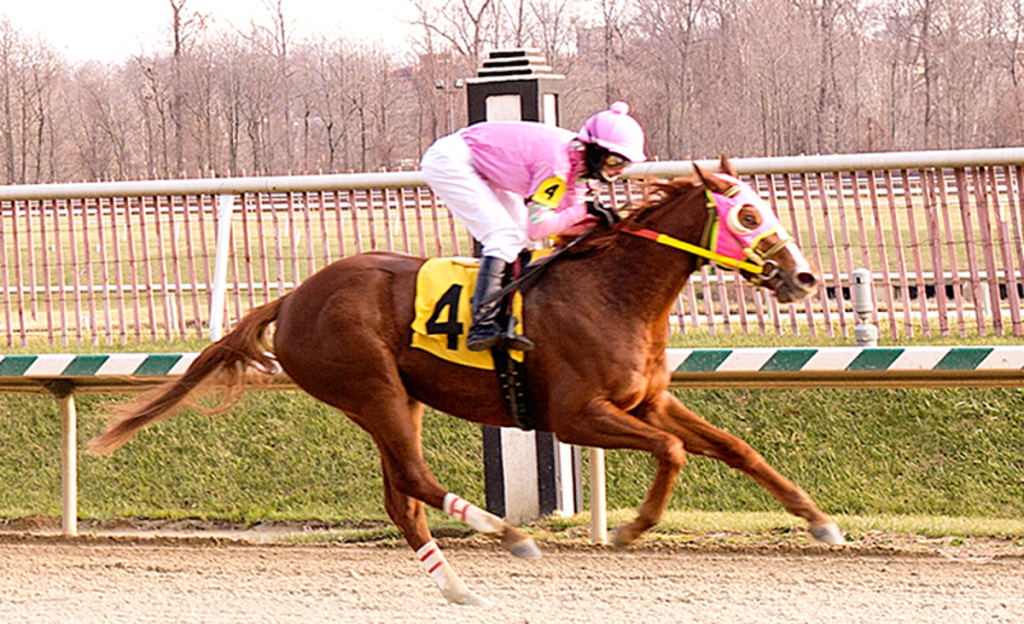 Stellar Wind broke her maiden at Laurel Park. Photo by Jim McCue, Maryland Jockey Club.