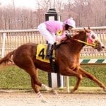 “Fun ride” aboard PA-bred Spelling Again