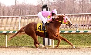 Stellar Wind broke her maiden at Laurel Park. Photo by Jim McCue, Maryland Jockey Club.