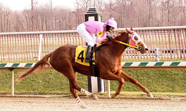 Cathryn Sophia unanimous in Top Midlantic-bred Poll