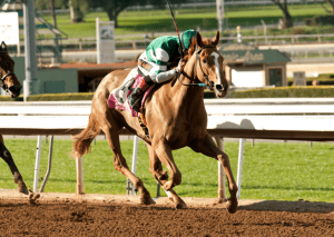 Stellar Wind took every first-place vote among three-year-olds in the first poll. Photo courtesy of Santa Anita Park.