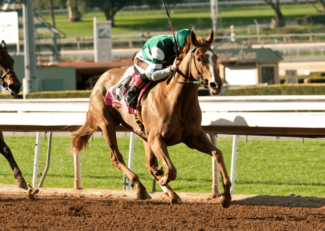 Handicapping the Kentucky Oaks