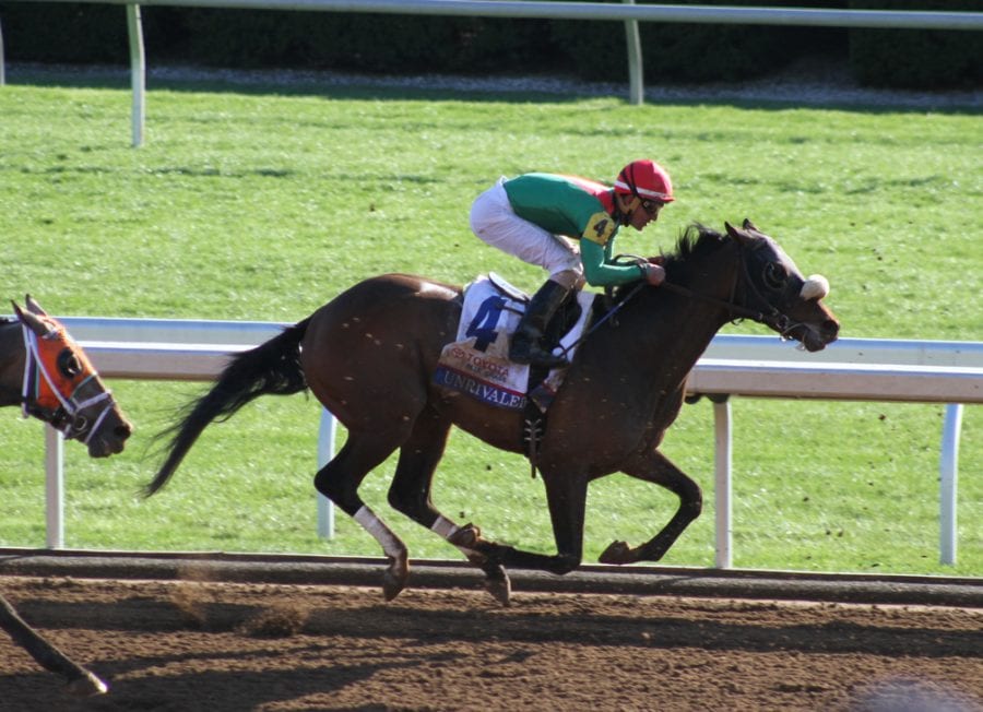 Unrivaled got the dreaded "never a factor" comment in Saturday's Grade 1 Bluegrass at Keeneland. Photo by Laurie Asseo.