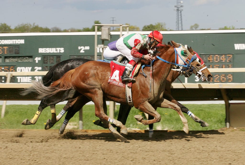 A Fleet Attitude was along in time to win the Lyman Handicap. Photo by Barbara Weidl / Equi-Photo.