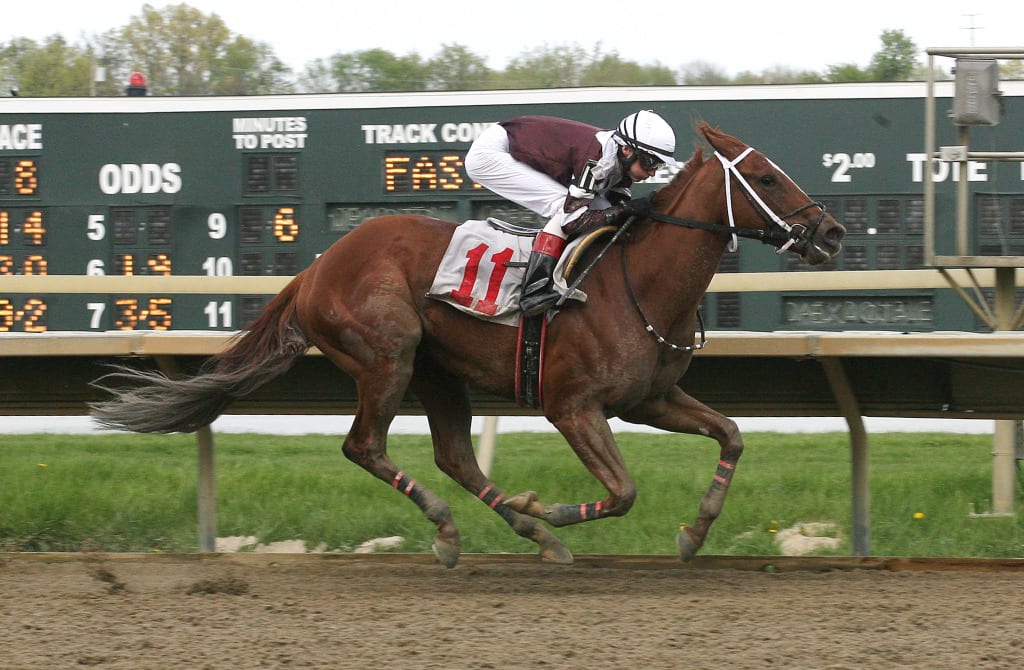 Danzatrice and Trevor McCarthy impressed in a flashy score in the Parx Oaks. Photo by Barbara Weidl/ Equi-Photo