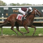 On tap: Weekend stakes