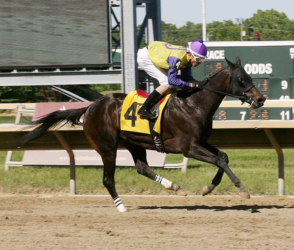 Donita's Ruler was much the best in Saturday's My Juliet Stakes at Parx Racing. Photo by Barbara Weidl / Equi-Photo