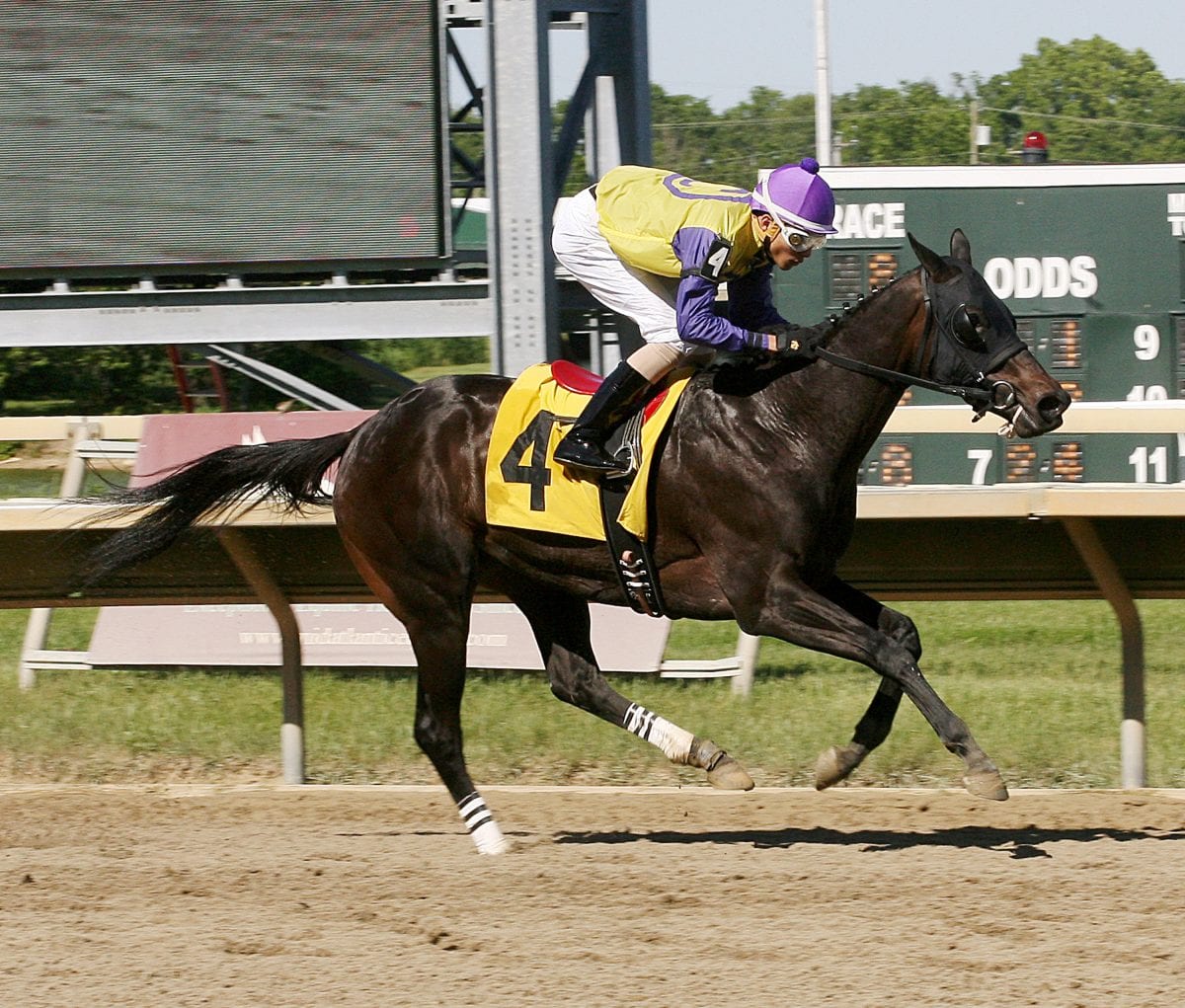 Donita’s Ruler upsets My Juliet Stakes