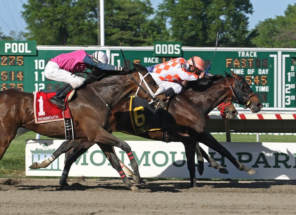 Saucy Don, between horses, won the John J. Reilly Handicap for NJ-breds. Photo By Bill Denver/EQUI-PHOTO.