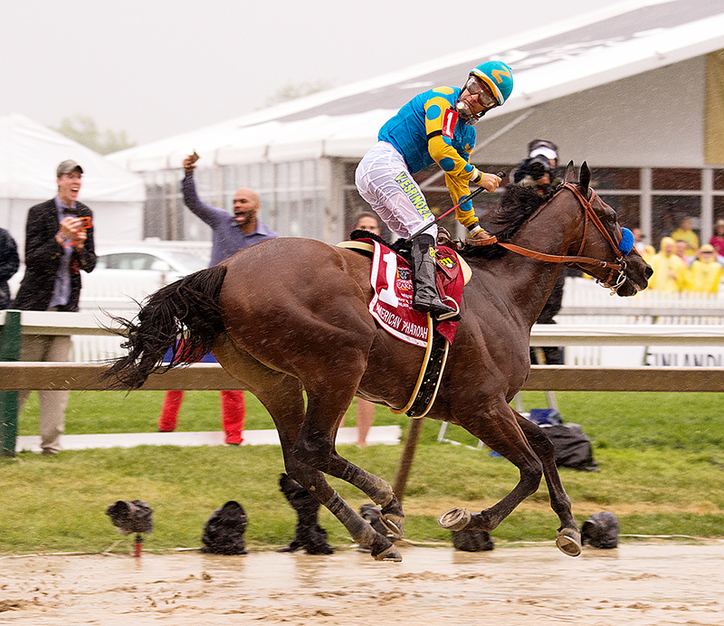 American Pharoah wins the 140th Preakness. Photo by the Maryland Jockey Club.